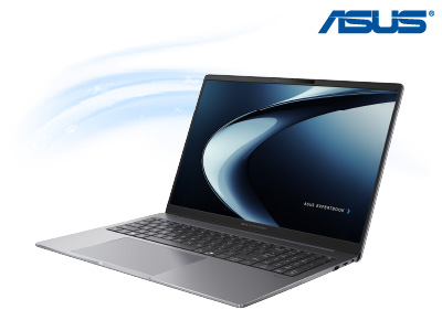 รูปสินค้า Asus ExpertBook PM3606CKA-MB0300WS